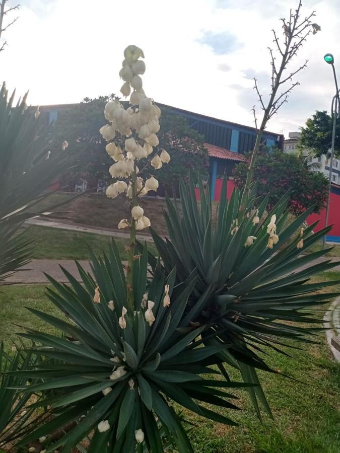 Apartamento Mob à 5 minutos da Praia do Forte dois quartos Cabo Frio Extérieur photo